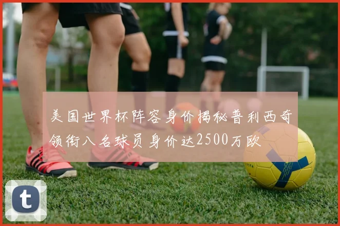 美国世界杯阵容身价揭秘普利西奇领衔八名球员身价达2500万欧